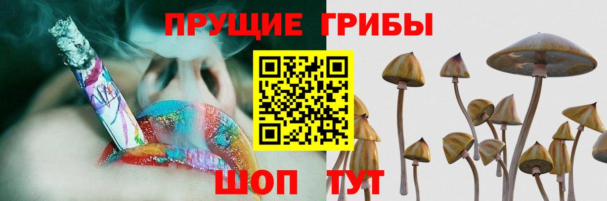Галлюциногенные грибы мухоморы Ковров